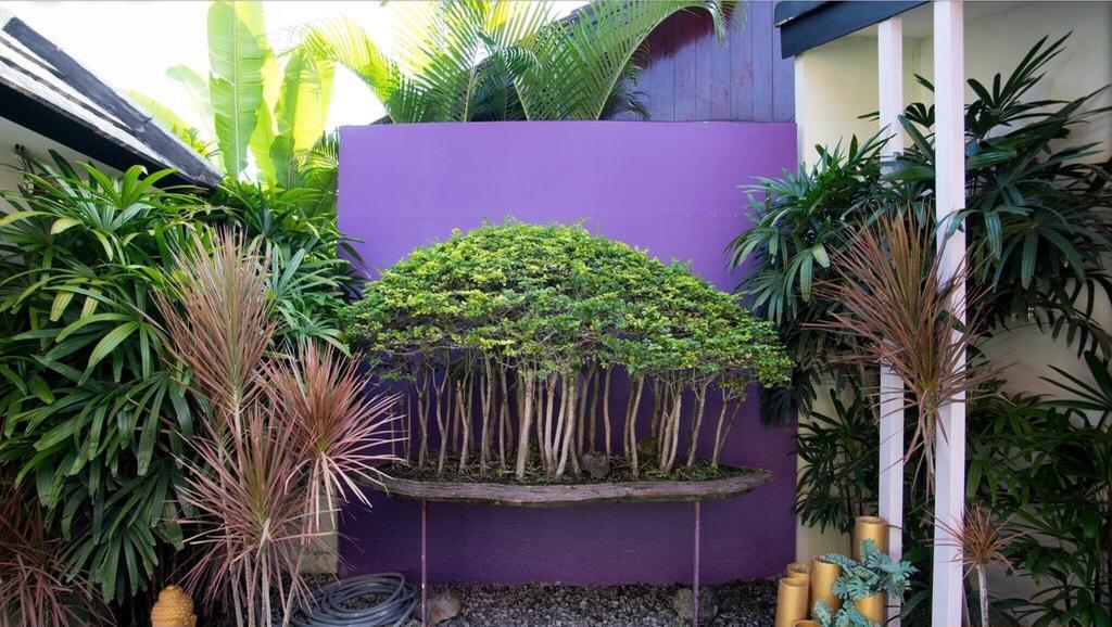 Bonsai Villas Seminyak Habitación foto
